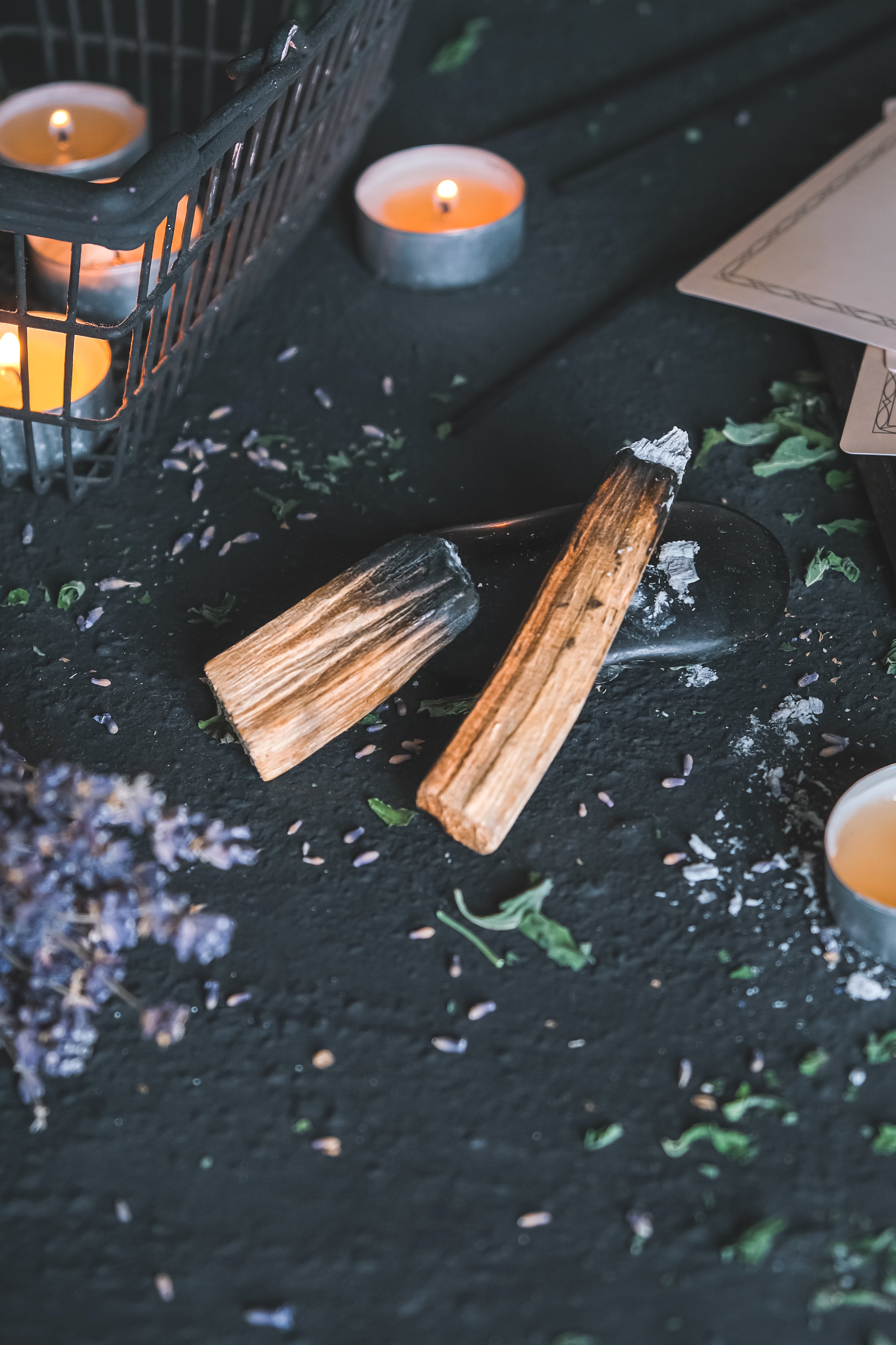 Palo Santo Aromatherapy 3 Wick Large Soy Wax Candle 